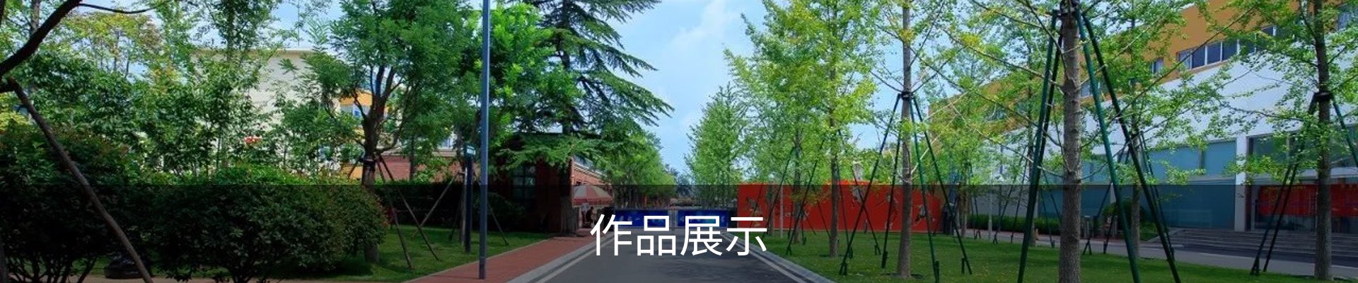 作品展示